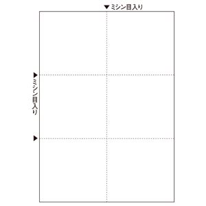 （まとめ） ヒサゴ マルチプリンター帳票（FSC森林認証紙） A4 白紙 6面 FSC2078 1冊（100枚） 【×5セット】