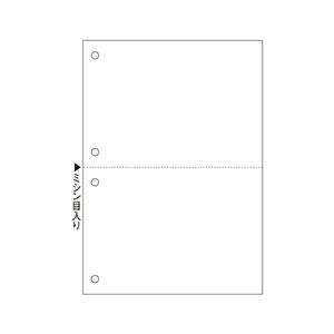 （まとめ） ヒサゴ マルチプリンター帳票（FSC森林認証紙） A5 白紙 2面 4穴 FSC2055 1冊（100枚） 【×5セット】