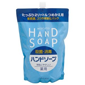 （まとめ） エフティ資生堂 薬用ハンドソープ つめかえ用 2L 1個 【×2セット】