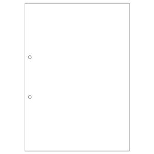 （まとめ） ヒサゴ マルチプリンター帳票（エコノミープライス） A4 白紙 2穴 BPE2001 1箱（2500枚） 【×4セット】