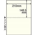 （まとめ） TANOSEE マルチプリンター帳票（FSC森林認証紙） A4 2面 穴なし クリーム 1箱（500枚） 【×2セット】