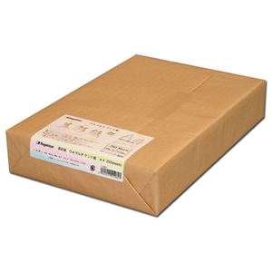 （まとめ） 長門屋商店 OAマルチケント紙 美彩紙 A4 ナ-962V 1パック（250枚） 【×2セット】