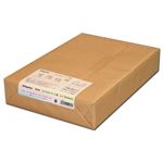 （まとめ） 長門屋商店 OAマルチケント紙 美彩紙 A4 ナ-962V 1パック（250枚） 【×2セット】