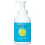（まとめ） TANOSEE ハンドソープ（フォームタイプ） シャボネット P-5 本体 500ml 1個 【×5セット】