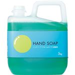 （まとめ） TANOSEE ハンドソープ（フォームタイプ） シャボネット P-5 詰替用 5kg 1個 【×2セット】