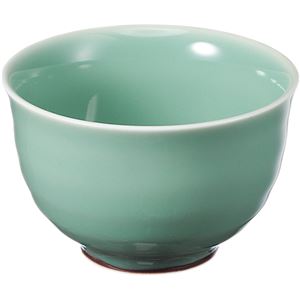 （まとめ） いちがま 天龍煎茶 1セット（5客） 【×4セット】
