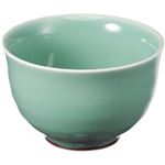 （まとめ） いちがま 天龍煎茶 1セット（5客） 【×4セット】