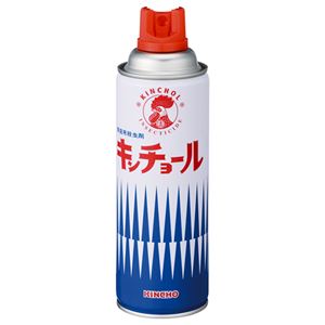 （まとめ） 大日本除蟲菊 キンチョール 450ml 1本 【×5セット】