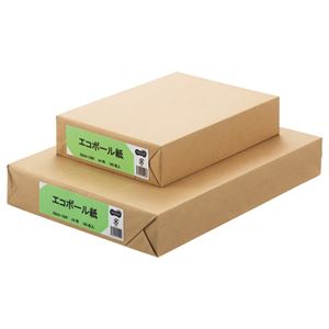 （まとめ） TANOSEE エコボール紙 A4 450g／m2 1パック（100枚） 【×5セット】