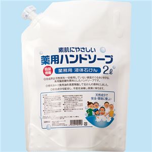 （まとめ） 渋谷油脂 リサイクル薬用ハンドソープ キャップ付きパウチ 業務用 詰替用 2L 1個 【×3セット】