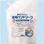 （まとめ） 渋谷油脂 リサイクル薬用ハンドソープ キャップ付きパウチ 業務用 詰替用 2L 1個 【×3セット】