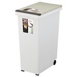 （まとめ） アスベル エバンペール プッシュフタタイプ 30L ベージュ 1台 【×2セット】