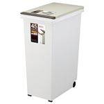 （まとめ） アスベル エバンペール プッシュフタタイプ 45L ベージュ 1台 【×2セット】