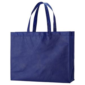 （まとめ） TANOSEE 不織布バッグ 大 ヨコ530×タテ400×マチ幅120mm ネイビー 1パック（10枚） 【×2セット】