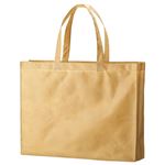 （まとめ） TANOSEE 不織布バッグ 大 ヨコ530×タテ400×マチ幅120mm ベージュ 1パック（10枚） 【×2セット】