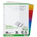 （まとめ） マルマン クリアポケット専用 ラミネートタブインデックス A4ワイド 30穴 6色12山+扉紙 LT3012F 1パック（5組） 【×4セット】
