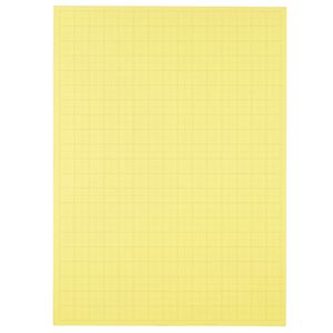 （まとめ） TANOSEE 模造紙（プルタイプ） 本体 788×1085mm 50mm方眼 クリーム 1ケース（20枚） 【×5セット】