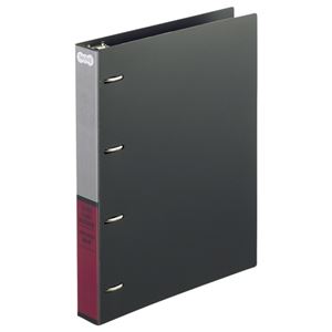 （まとめ） TANOSEE ネームカードホルダー A4タテ 4穴 500名用 ヨコ入れ ブラック 1セット（10冊） 【×3セット】