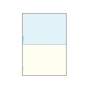 （まとめ）マルチプリンタ帳票（FSC森林認証紙） A4カラー2面（ブルー／クリーム） 100枚入×5冊