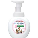 （まとめ）キレイキレイ 薬用泡ハンドソープ 本体 250ml 20個