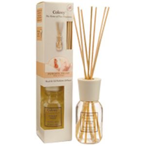 WAX LYRICAL Colony リードディフューザー パウダーフレッシュ 本体 120ml CNCH2201 1個