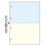 ヒサゴ マルチプリンター帳票 複写タイプ A4 ノーカーボン カラー 2面 4穴 BPC2011 1冊(100枚)