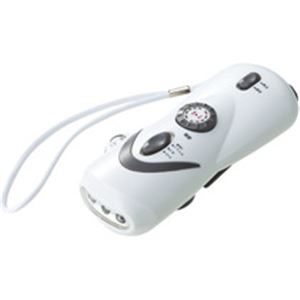 ダイナモマルチライト ML-3000