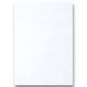 （まとめ） TANOSEE 色画用紙 四つ切 ゆき 1パック（10枚） 【×15セット】