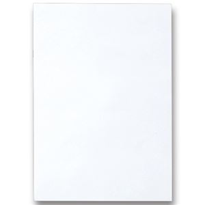 （まとめ） TANOSEE 色画用紙 八つ切 ゆき 1パック（10枚） 【×30セット】