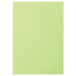 （まとめ） TANOSEE 色画用紙 八つ切 わかくさ 1パック（10枚） 【×30セット】