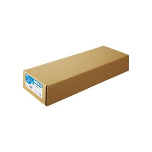 （まとめ） TANOSEE 普通紙 A0ロール 841mm×50m 1箱（2本） 【×2セット】