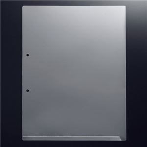 （まとめ） G-Aim 2穴ホルダー マチなし A4タテ クリア YG-200 1パック（10枚） 【×15セット】