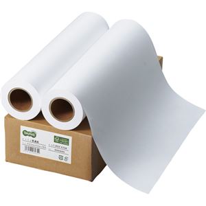 （まとめ） TANOSEE インクジェット用普通紙 A2ロール 420mm×50m 1箱（2本） 【×2セット】