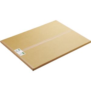 （まとめ） TANOSEE モノクロ用普通紙 A2カット 420×594mm 1箱（100枚） 【×2セット】