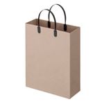 （まとめ） TANOSEE ラミネートクラフトバッグ 小 ヨコ270×タテ350×マチ幅110mm 黒 1パック（10枚） 【×3セット】