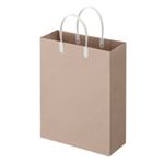 （まとめ） TANOSEE ラミネートクラフトバッグ 小 ヨコ270×タテ350×マチ幅110mm 白 1パック（10枚） 【×3セット】