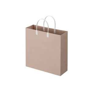 （まとめ） TANOSEE ラミネートクラフトバッグ 中 ヨコ320×タテ320×マチ幅110mm 白 1パック（10枚） 【×3セット】