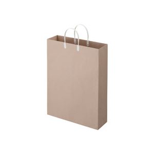 （まとめ） TANOSEE ラミネートクラフトバッグ 特大 ヨコ380×タテ510×マチ幅120mm 白 1パック（10枚） 【×2セット】