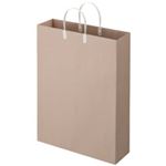 （まとめ） TANOSEE ラミネートクラフトバッグ 特大 ヨコ380×タテ510×マチ幅120mm 白 1パック（10枚） 【×2セット】