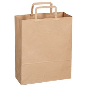 （まとめ） TANOSEE 紙手提袋 平紐 小 ヨコ260×タテ320×マチ幅100mm 茶 1パック（30枚） 【×10セット】