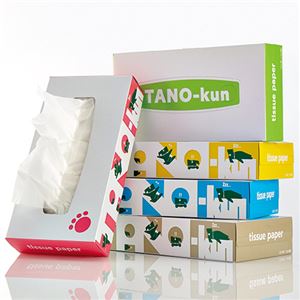 （まとめ） ティッシュペーパー TANO-kun 160組／箱 1セット（60箱：5箱×12パック） 【×2セット】