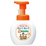 （まとめ） ライオン キレイキレイ 薬用泡ハンドソープ オレンジミックスの香り 本体 250ml 1個 【×10セット】
