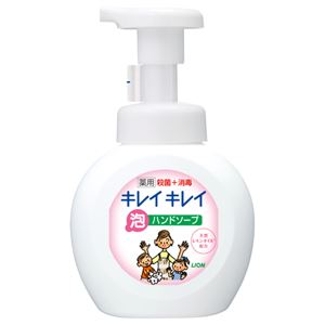 （まとめ） ライオン キレイキレイ 薬用泡ハンドソープ 本体 250ml 1個 【×10セット】