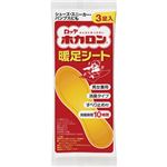 （まとめ） ロッテ ホカロン 暖足シート 1パック（3足） 【×10セット】