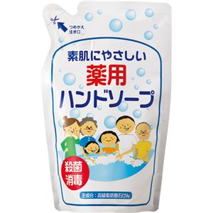 （まとめ） 渋谷油脂 リサイクル薬用ハンドソープ 詰替用パウチ 250ml 1個 【×20セット】