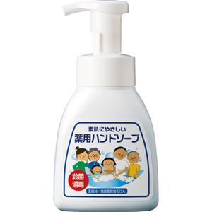 （まとめ） 渋谷油脂 リサイクル薬用ハンドソープ 泡タイプボトル 本体 300ml 1個 【×10セット】