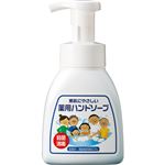 （まとめ） 渋谷油脂 リサイクル薬用ハンドソープ 泡タイプボトル 本体 300ml 1個 【×10セット】