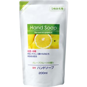 （まとめ） 第一石鹸 薬用ハンドソープ 詰替用 200ml 1個 【×30セット】