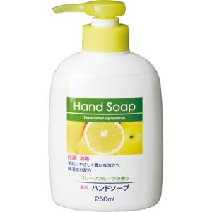 （まとめ） 第一石鹸 薬用ハンドソープ 本体 250ml 1個 【×20セット】