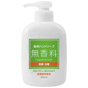 （まとめ） 第一石鹸 薬用ハンドソープ 無香料 本体 250ml 1本 【×20セット】